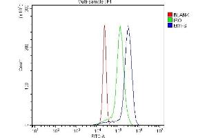 Figure 5 Flow Cytometry analysis of U937 cells using anti-MYH6 antibody (ABIN7603070).
