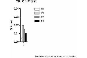 Application: ChIPSample Type: mouse liver tissueChromatin Used: 100ug tissueAntibody Used: 10ug  Image Submitted by: Joanna DiSpirito University of Pennsylvania