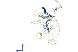 AlphaFold protein structure predicition of Mouse Recombinant Incenp Protein, UniprotID Q9WU62