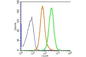 293T cells probed with STAT3 (Tyr705) Polyclonal Antibody, ALEXA FLUOR® 647 Conjugated (bs-1658R-A647) at 1:100 for 30 minutes compared to control cells (blue) and isotype control (orange).