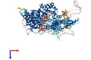 AlphaFold protein structure predicition of Mouse Recombinant Phka1 Protein, UniprotID P18826