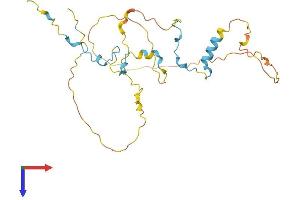 AlphaFold protein structure predicition of Human Recombinant CDCA3 Protein, UniprotID Q99618