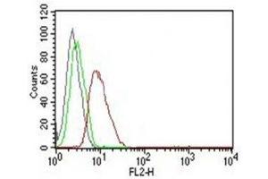 Flow Cytometry testing of MCF-7 cells. (Cyclin D1 anticorps)