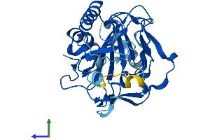 AlphaFold protein structure predicition of Human Recombinant PHYHD1 Protein, UniprotID Q5SRE7