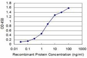 Detection limit for recombinant GST tagged BOLL is approximately 0. (BOLL anticorps  (AA 185-283))