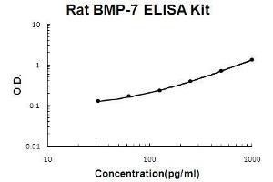 Rat BMP-7 PicoKine ELISA Kit standard curve (BMP7 Kit ELISA)