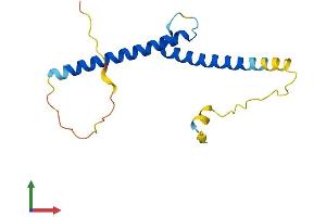 AlphaFold protein structure predicition of Mouse Recombinant Atoh7 Protein, UniprotID Q9Z2E5