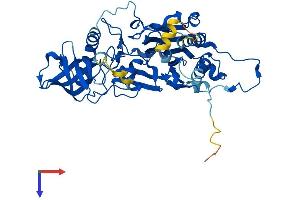 AlphaFold protein structure predicition of Mouse Recombinant Pold2 Protein, UniprotID O35654