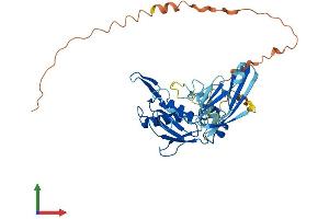 AlphaFold protein structure predicition of Human Recombinant MMP23B Protein, UniprotID O75900