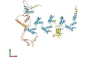 AlphaFold protein structure predicition of Human Recombinant RBAK Protein, UniprotID Q9NYW8