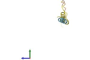 AlphaFold protein structure predicition of Human Recombinant ARHGAP5-AS1 Protein, UniprotID Q96IT6