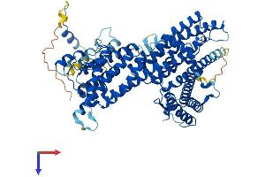 AlphaFold protein structure predicition of Mouse Recombinant Naa35 Protein, UniprotID Q6PHQ8
