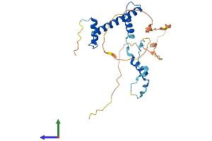 AlphaFold protein structure predicition of Mouse Recombinant Taf9b Protein, UniprotID Q6NZA9