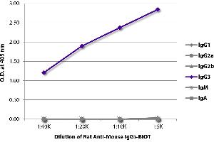 ELISA plate was coated with purified mouse IgG1, IgG2a, IgG2b, IgG3, IgM, and IgA. (Rat anti-Souris IgG3 Anticorps (Biotin))