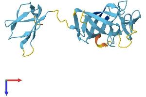 AlphaFold protein structure predicition of Human Recombinant EXOSC1 Protein, UniprotID Q9Y3B2