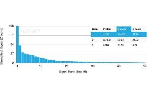 Analysis of Protein Array containing more than 19,000 full-length human proteins using CD63-Monospecific Mouse Recombinant Monoclonal Antibody (rMX-49.