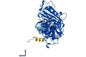 AlphaFold protein structure predicition of Human Recombinant GDI1 Protein, UniprotID P31150