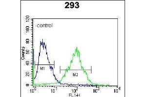 RS2 Antibody (C-term) (ABIN6242575 and ABIN6577319) flow cytometric analysis of 293 cells (right histogram) comred to a negative control cell (left histogram).
