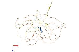 AlphaFold protein structure predicition of Human Recombinant NUFIP2 Protein, UniprotID Q7Z417