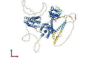AlphaFold protein structure predicition of Human Recombinant ARHGEF1 Protein, UniprotID Q92888