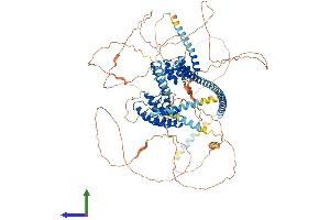AlphaFold protein structure predicition of Mouse Recombinant Ppp1r12b Protein, UniprotID Q8BG95
