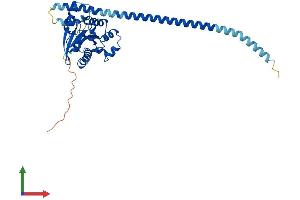 AlphaFold protein structure predicition of Human Recombinant GIMAP2 Protein, UniprotID Q9UG22