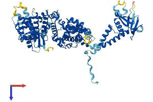 AlphaFold protein structure predicition of Mouse Recombinant Elmo1 Protein, UniprotID Q8BPU7