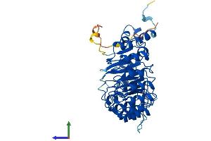AlphaFold protein structure predicition of Human Recombinant FBXL14 Protein, UniprotID Q8N1E6
