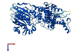 AlphaFold protein structure predicition of Human Recombinant NADSYN1 Protein, UniprotID Q6IA69