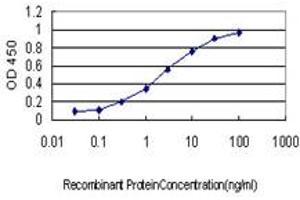 Detection limit for recombinant GST tagged RAD51C is approximately 0.