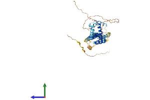 AlphaFold protein structure predicition of Mouse Recombinant Pbx2 Protein, UniprotID O35984