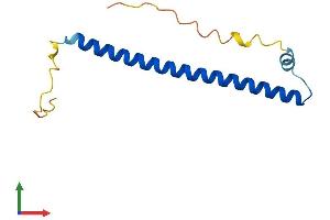 AlphaFold protein structure predicition of Human Recombinant CREBL2 Protein, UniprotID O60519