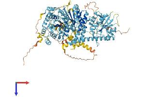 AlphaFold protein structure predicition of Human Recombinant CHD1L Protein, UniprotID Q86WJ1