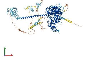 AlphaFold protein structure predicition of Mouse Recombinant Iqch Protein, UniprotID Q9D2K4