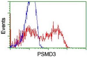 Flow Cytometry (FACS) image for anti-Proteasome (Prosome, Macropain) 26S Subunit, Non-ATPase, 3 (PSMD3) antibody (ABIN1499980)