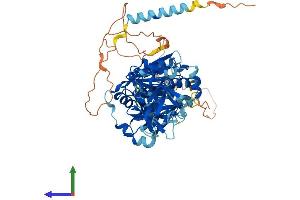 AlphaFold protein structure predicition of Mouse Recombinant Galnt15 Protein, UniprotID Q9D2N8