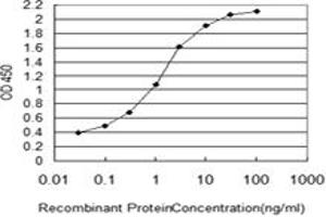 Image no. 3 for anti-Nucleoporin 133kDa (NUP133) (AA 1069-1156) antibody (ABIN599269)