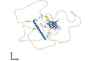 AlphaFold protein structure predicition of Mouse Recombinant Rab11fip5 Protein, UniprotID Q8R361