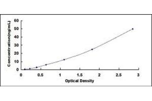 Diacylglycerol O-Acyltransferase 1 (DGAT1) ELISA Kit