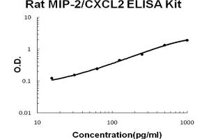 Rat CXCL2/MIP-2 Accusignal ELISA Kit Rat CXCL2/MIP-2 AccuSignal ELISA Kit standard curve.