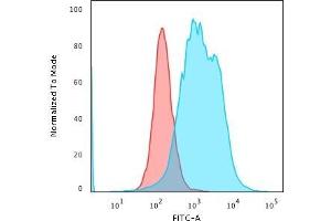 Flow Cytometric Analysis of PFA-fixed K562 cells using Calponin Rabbit Recombinant MAb(CNN1/1408R) followed by Goat anti-Rabbit- IgG-CF488 (Blue); Isotype Control (Red).