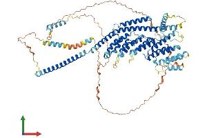 AlphaFold protein structure predicition of Mouse Recombinant Gcfc2 Protein, UniprotID Q8BKT3