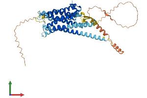 AlphaFold protein structure predicition of Mouse Recombinant Drd2 Protein, UniprotID P61168