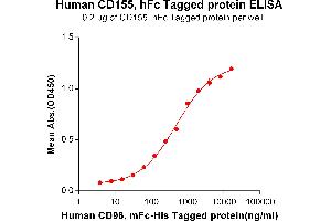 ELISA plate pre-coated by 2 μg/mL (100 μL/well) Human CD96, mFc-His tagged protein (ABIN6961101) can bind Human CD155, hFc tagged protein (ABIN6961168) in a linear range of 62.