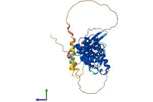 AlphaFold protein structure predicition of Human Recombinant SNX21 Protein, UniprotID Q969T3