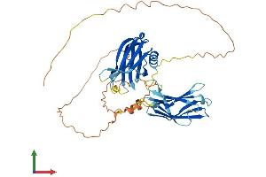 AlphaFold protein structure predicition of Human Recombinant SYT13 Protein, UniprotID Q7L8C5