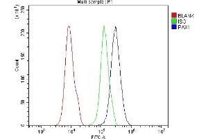 Flow Cytometry analysis of 293T cells using anti-PAX1 antibody (ABIN7600659). (PAX1 anticorps  (AA 218-382))