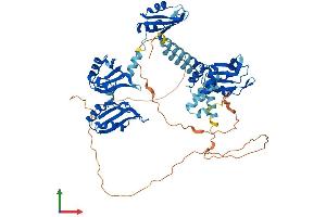 AlphaFold protein structure predicition of Human Recombinant PABPC1 Protein, UniprotID P11940