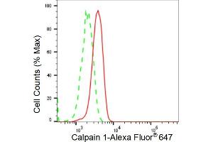 Flow cytometric analysis of Calpain 1 expression in C2C12 cells using Calpain 1 antibody (ABIN7797846), 1:2,000).