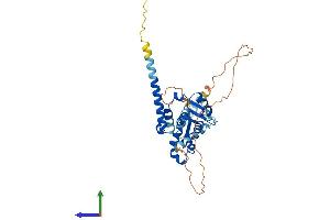 AlphaFold protein structure predicition of Human Recombinant MAGEB1 Protein, UniprotID P43366